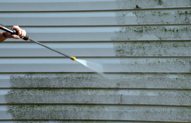 Best Power Washing Near Me  in Lac Du Flambeau, WI