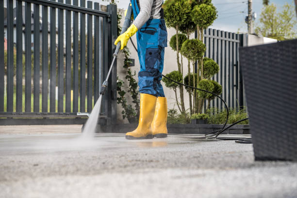 Best House Pressure Washing  in Lac Du Flambeau, WI
